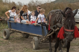 Evadeaza din oras si reconecteaza-te la natura: Festivalul Silvoitei aduce cele mai bune gusturi si distractie pentru toata familia