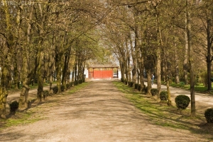 Peste 100 de voluntari in campania de ecologizare a Parcului Sportiv Universitar „Prof. dr. Iuliu Hatieganu”